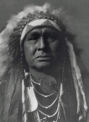 White Man Runs Him (Crow scout) portrait