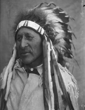 White Swan (Crow scout) portrait